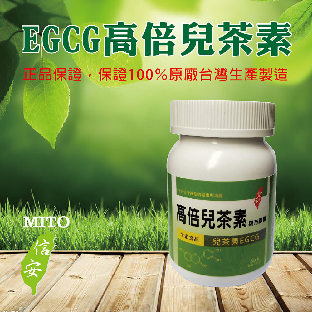 信安 EGCG 高倍兒茶素